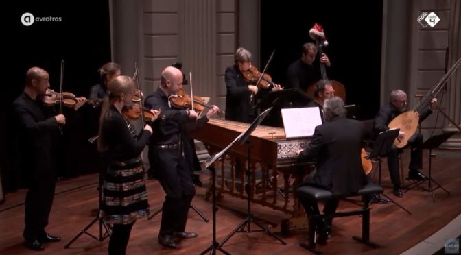 Combattimento performs Bach - Double Violin Concerto